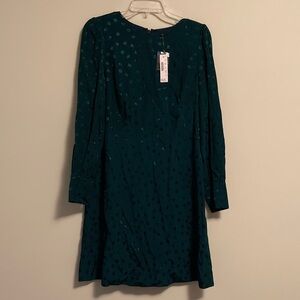J. Crew Teal Long Sleeve Dress